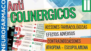 Antimuscarínicos EFECTOS SISTÉMICOS ACCIÓN FARMACOLÓGICA Naturales ATROPINA ESCOPOLAMINA Parte2 [upl. by Valleau]