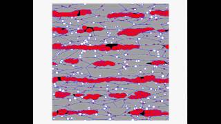 Phase field modellingAustenite formation during fast heating [upl. by Bradford]