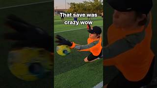 INSANE GOALIE SAVES goalkeeper soccer football [upl. by Asen]