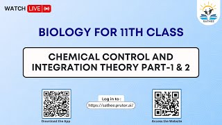 Biology Class 11th  Chemical control and integreation Theory Part1 amp 2 [upl. by Lerat]