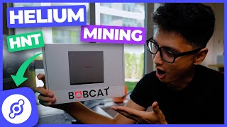 Helium Mining HNT Bobcat Miner 300 Unboxing amp How to Setup [upl. by Broida]