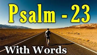 Psalm 23 Reading Finding Peace in the Shepherds Care With words  KJV [upl. by Nap]