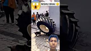 NishuBhaidogmanu😱accidentshortsviraltrending youtubeshorts shortsviral [upl. by Ennovy301]