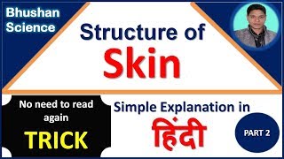 Structure of Skin Dermis and Hypodermis  Integumentary System Trick in Hindi  Bhushan Science [upl. by Stephanie265]