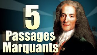 Comprendre CANDIDE et les idées de VOLTAIRE en 5 extraits [upl. by Danni]