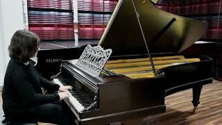 PLEYEL Grand year 1888  for sale by fortepianocompl [upl. by Nosmirc]