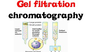 Gel filtration chromatography [upl. by Nahshunn]