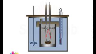 Bomb calorimeter [upl. by Anaynek]