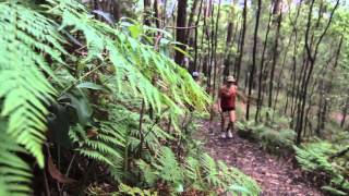 The Great Noosa Trail Walk [upl. by Christal]