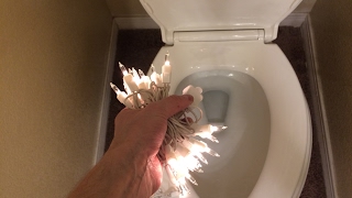 Flushing Some Christmas Holiday Lights Down The Toilet [upl. by Kallista]