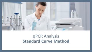 qPCR Analysis  Standard Curve Method [upl. by Gwyn]