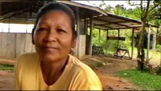 We visit an Arawak indian settlement and speak with some women tribal chief Daniel Gomez [upl. by Dario198]