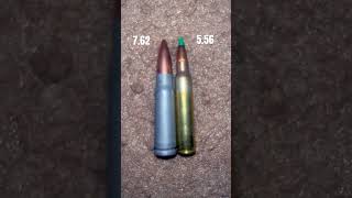 762 Or 556 gun ammo viral viralshorts exotic [upl. by Rogergcam]