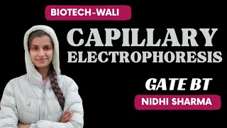 CAPILLARY ELECTROPHORESIS  Analytical TechniquesBIOTECHWALI iit [upl. by Nomzaj197]