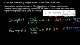 How to compare melting temperatures of the two DNA molecules [upl. by Araed352]