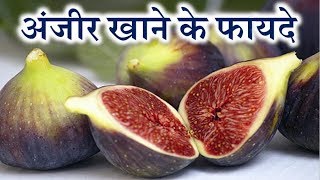 Anjeer ke fayde  Fig fruit benefits in hindi [upl. by Geri]