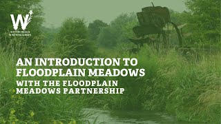 An Introduction to Floodplain Meadows [upl. by Ecirtemed]