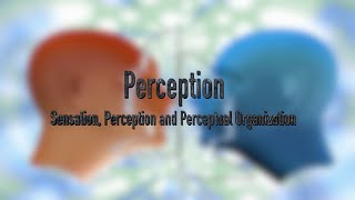 Lesson 16 Perception Sensation Perception and Perceptual organization [upl. by Mala]