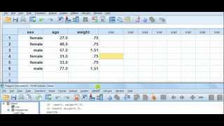 SPSS for newbies questionnaire data entry  weighting cases [upl. by Carli]