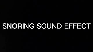 Snoring Sound Effect [upl. by Ennirroc412]