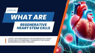 Unlock The Secrets To Regenerative Heart Stem Cells [upl. by Yorztif]