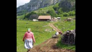 Mircea Baniciu  Vara la tara  Tristeti provinciale 1981 [upl. by Enelaehs]