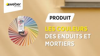 Les nuances de couleurs des enduits et mortiers  Weber [upl. by Johannes]