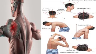 CLUMSINESSHAND CLINICAL EXAMINATION OF THE MUSCULOSKELETALLOCOMOTOR SYSTEM  T C ANKRAH EP148 [upl. by Ludeman]