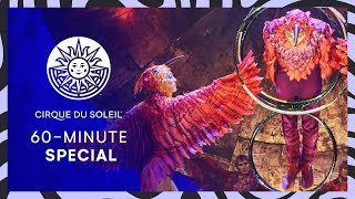 REACHING NEW HEIGHTS  60 MINUTE SPECIAL 15  Cirque du Soleil  LUZIA CORTEO VOLTA [upl. by Akers]