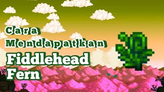 Cara mendapatkan fiddlehead Fern Stardew Valley [upl. by Annad]