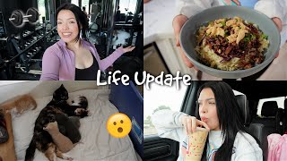 LIFE UPDATE Home Gym Baby Kittens  more [upl. by Aehc]