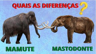 QUAIS AS DIFERENÇAS ENTRE OS MAMUTES E OS MASTODONTES ONDE ELES VIVIAM QUE ANIMAIS ERAM ESSES [upl. by Mesics]