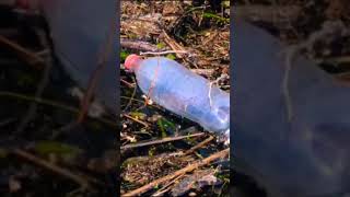 PLASTIC Pollution RAMSAR Ecosystems WHO is RESPONSIBLE [upl. by Eeimaj641]