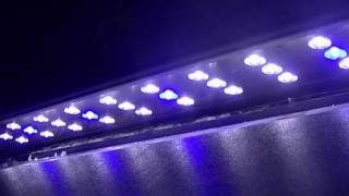 Marineland REEF LED 36quot48quot light review [upl. by Esilrac207]