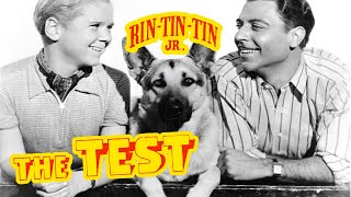 The Test 1935 Rin Tin Tin  Action Adventure Crime [upl. by Ablem]