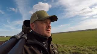 Best Wild Life Photography  ELMLEY NATURE RESERVE  Adam Juckes [upl. by Bueschel]