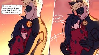 LadyNoir Texts pt8  Miraculous Ladybug and Cat Noir Comic Dub [upl. by Travus]