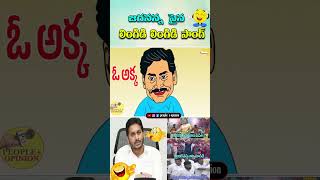 జగనన్న పైన లింగిడి లింగిడి సాంగ్ viralreels cmjagan [upl. by Fawne649]