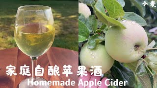 苹果酒  家庭自酿，从后院的树上到瓶里 homemade apple cider Eng Sub [upl. by Monto]