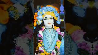 Krishna krishna kare atma meri  Jai Radhe Krishna Status 4K  shortsfeed shorts radhakrishna [upl. by Eneres22]