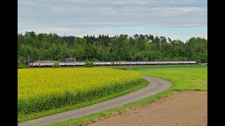 SBB CFF FFS RABe 514 016 e SBB CFF FFS RABe 502 xxx  Bassersdorf [upl. by Sherline]