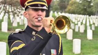 Honor The Fallen TAPS [upl. by Ileek]