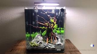 Dennerle Nano cube 30l  aquascaping [upl. by Nalniuq895]