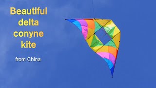 Beautiful delta conyne kite from China [upl. by Elmira]