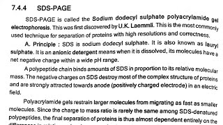 SDSPAGE  Electrophoresis [upl. by Yim670]