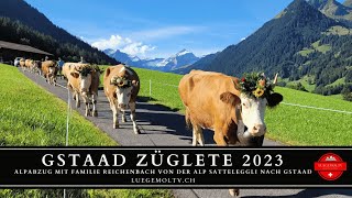 Gstaad Züglete 2023  Züglete von Alp Satteleggli  LuegemolTV [upl. by Ummersen284]