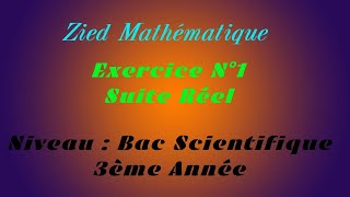 Exercice Suites Réelles N°1 Bac Scientifique et 3ième année [upl. by Tori]