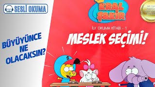 KRAL ŞAKİR MESLEK SEÇİMİ  Çocuklar İçin Sesli Okuma [upl. by Quarta]