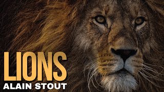 Alain Stout  Lions Official Music Video [upl. by Anitahs]