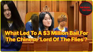 Chinese quotparachute kidsquot kidnap attack and torture classmates in LA have been convicted [upl. by Torosian]